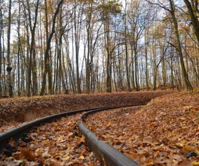 spoor herfst