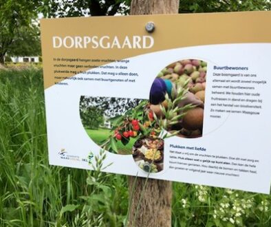 Dorpsgaard